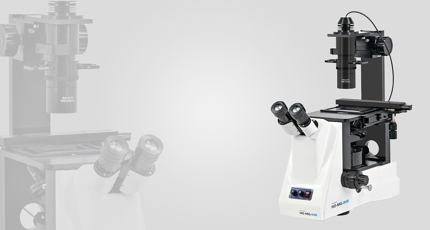 Inverted Microscope Routine