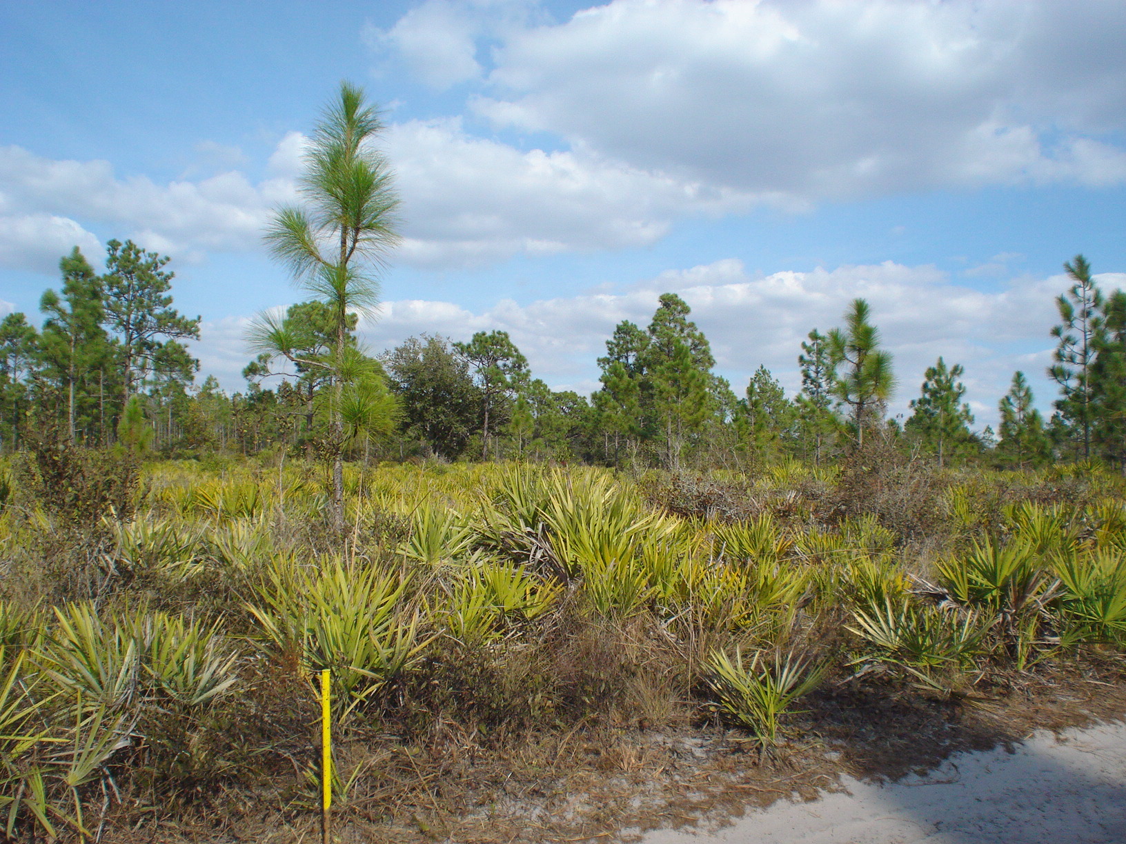 Suburban Estates Holopaw Lot For Sale