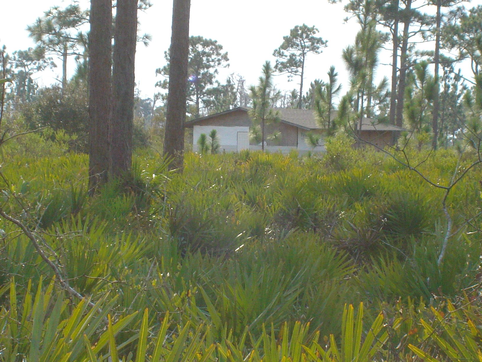 Suburban Estates Holopaw Lot For Sale