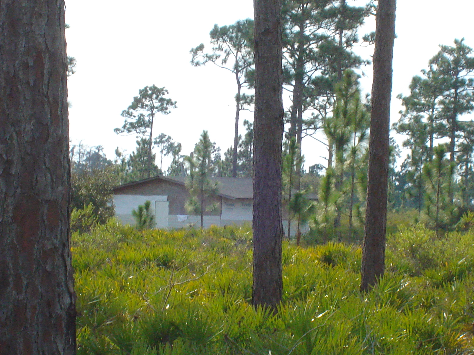 Suburban Estates Holopaw Lot For Sale