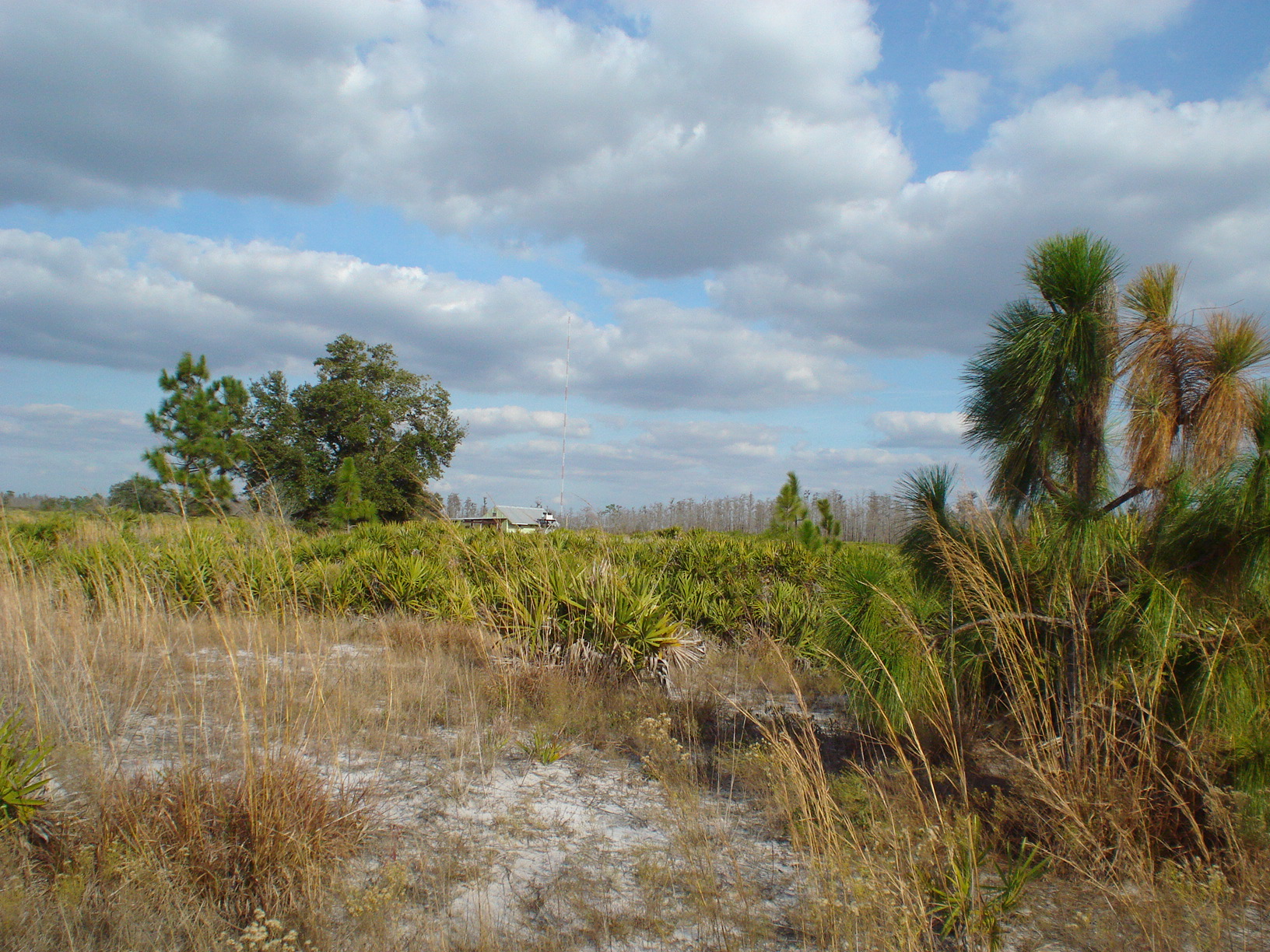 Suburban Estates Holopaw Lot For Sale