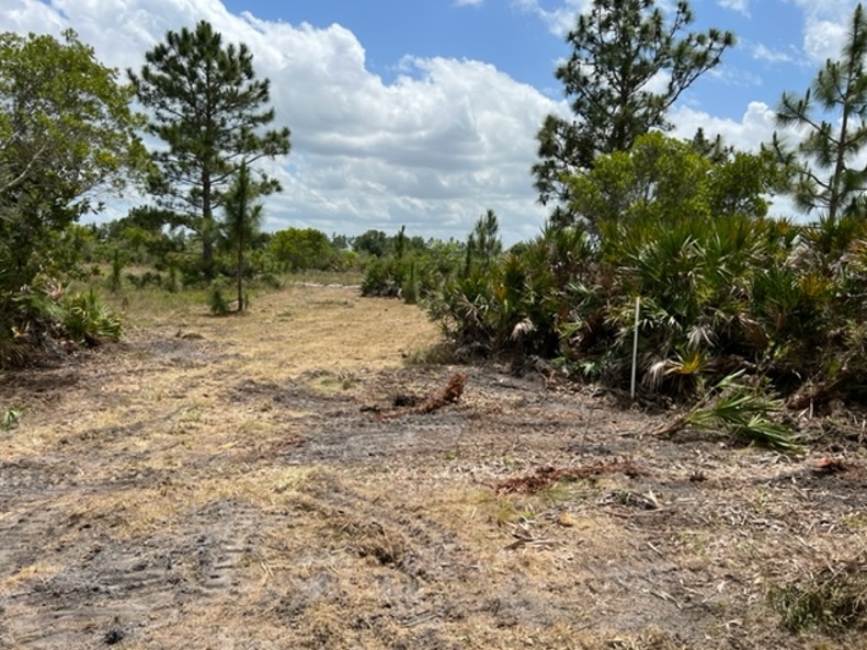 Suburban Estates Holopaw Recreational Lots For Sale