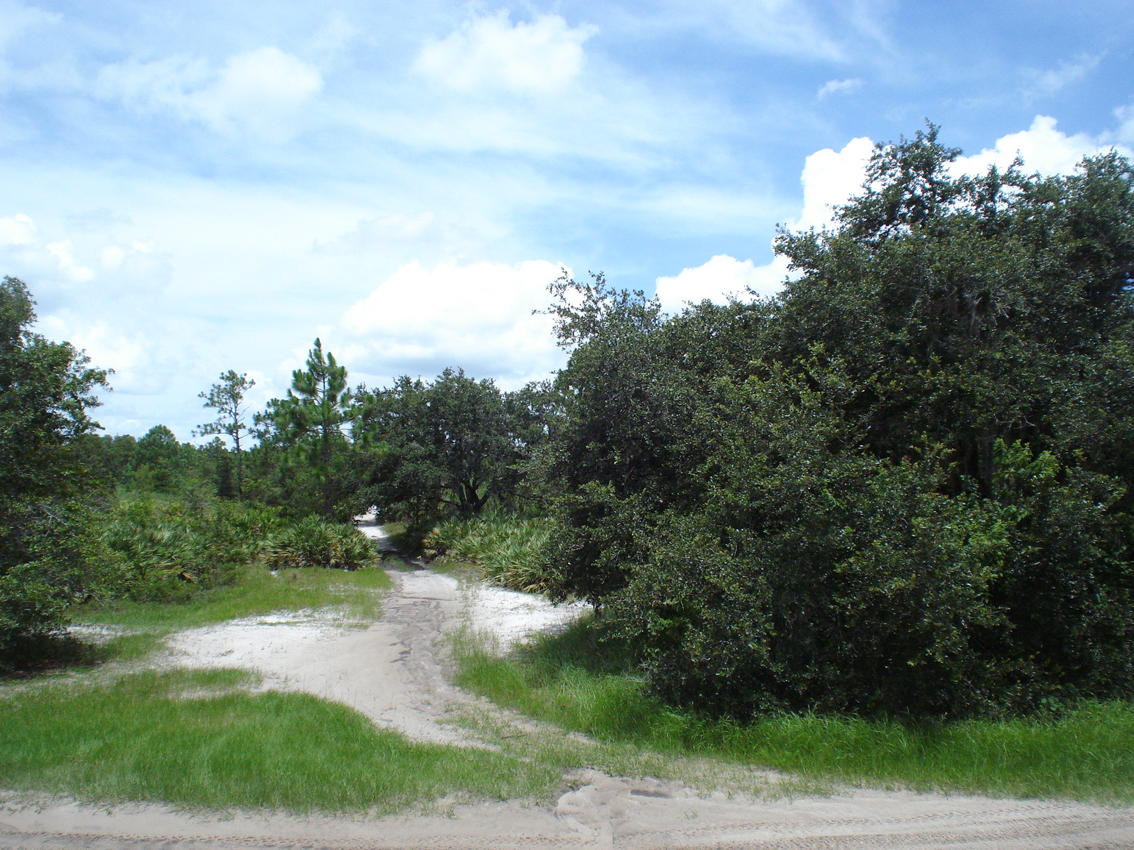 Suburban Estates Holopaw Recreational Lots For Sale