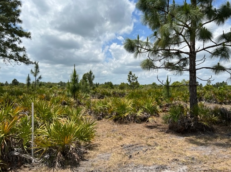 Suburban Estates Holopaw Recreational Lots For Sale