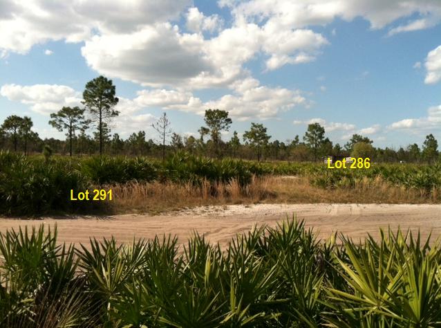 Suburban Estates Holopaw Recreational Lots For Sale