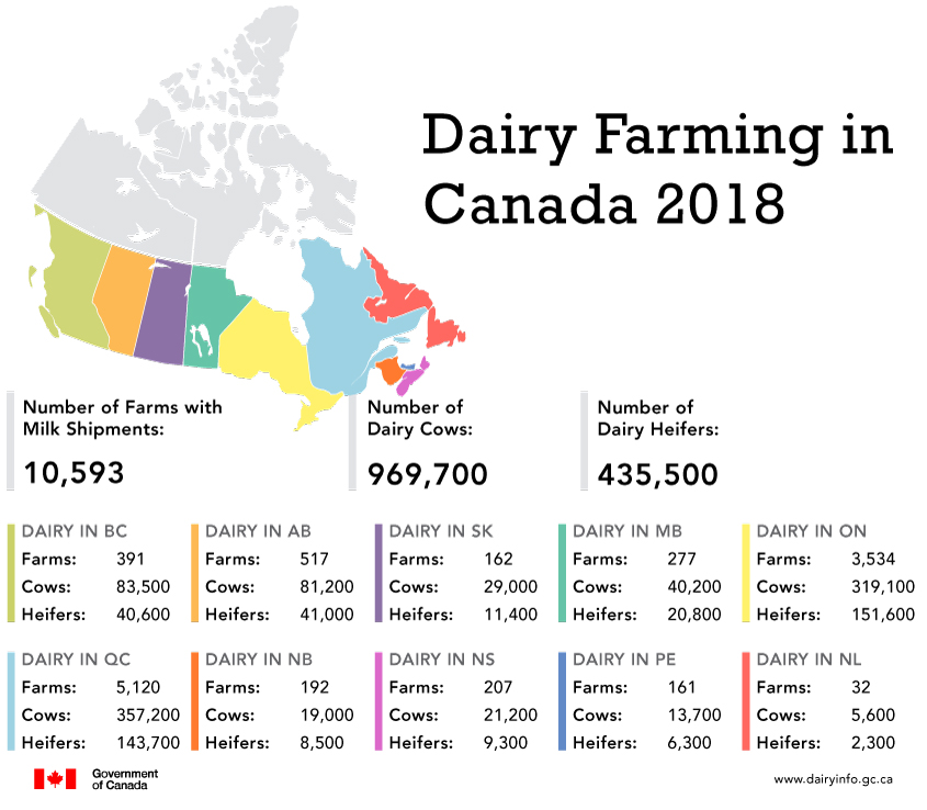 Holstein Canada About Us The Canadian Dairy Industry