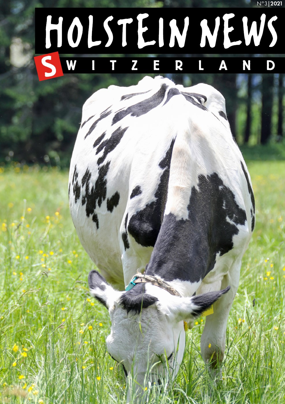 Holstein News September 2021 Holstein Switzerland