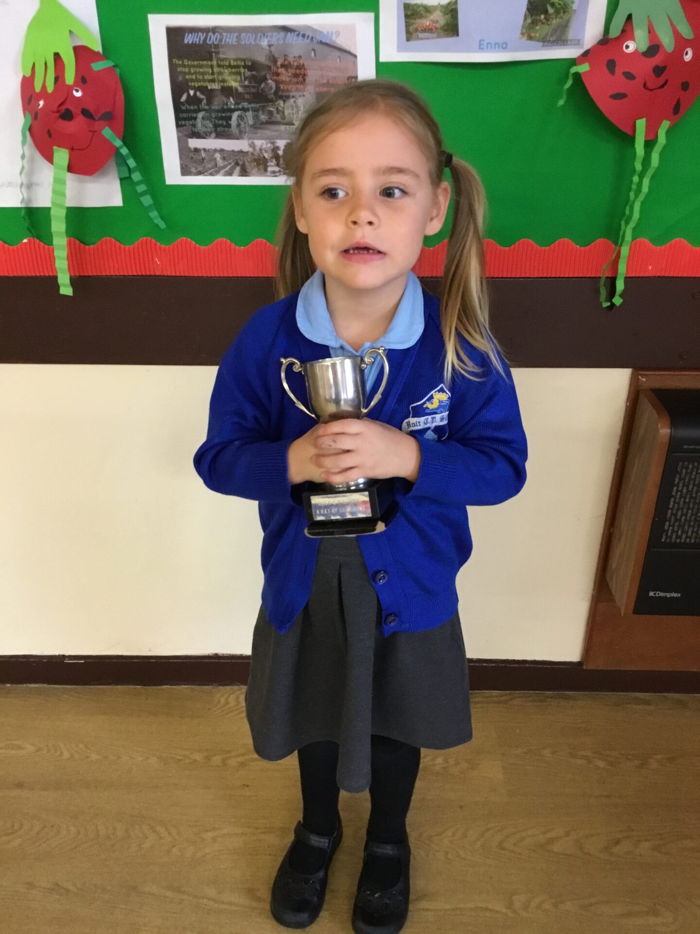 Ray of Sunshine Holt Community Primary School