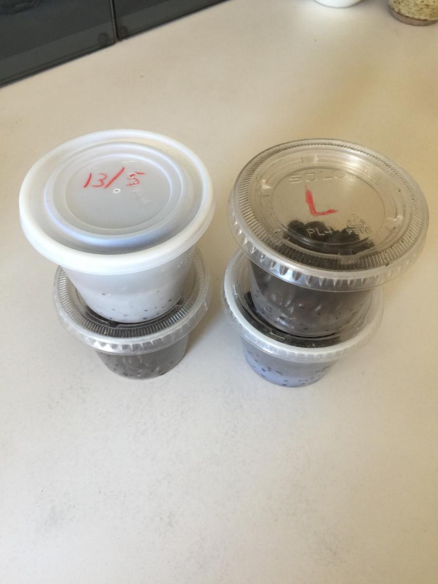 "Reusable" Single Dosing Containers