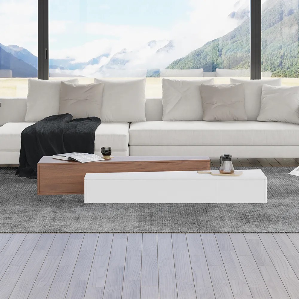 Low Narrow Coffee Table Set Interior Design Ideas