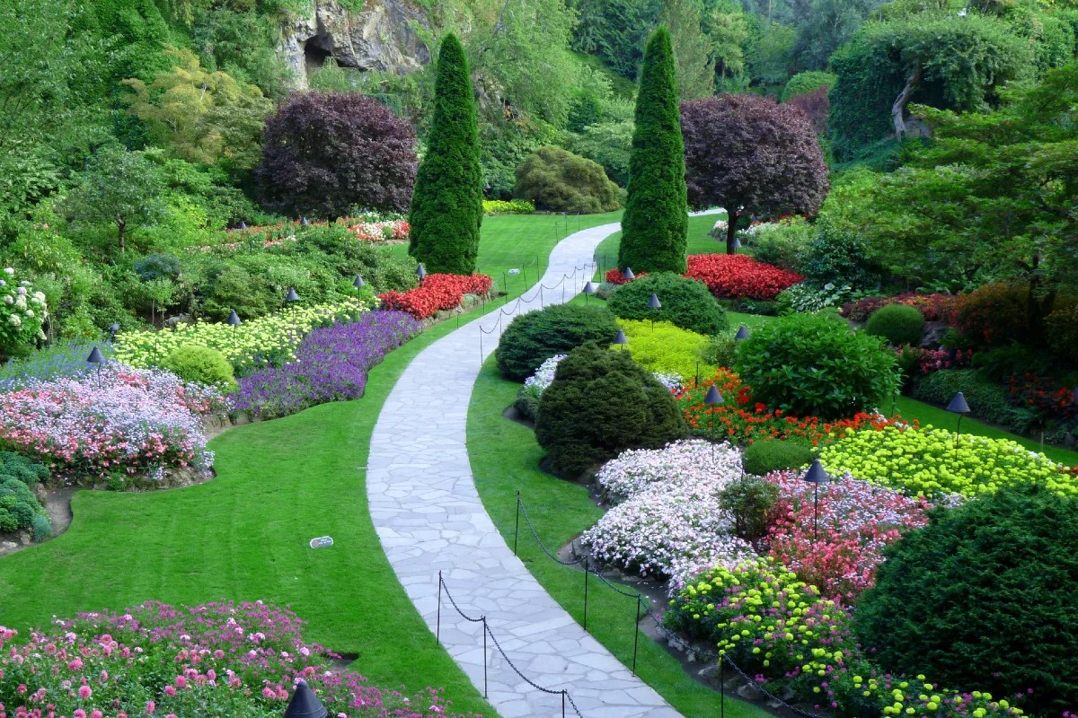 Top 5 EnergyEfficient Landscaping Strategies to Use for Your Home