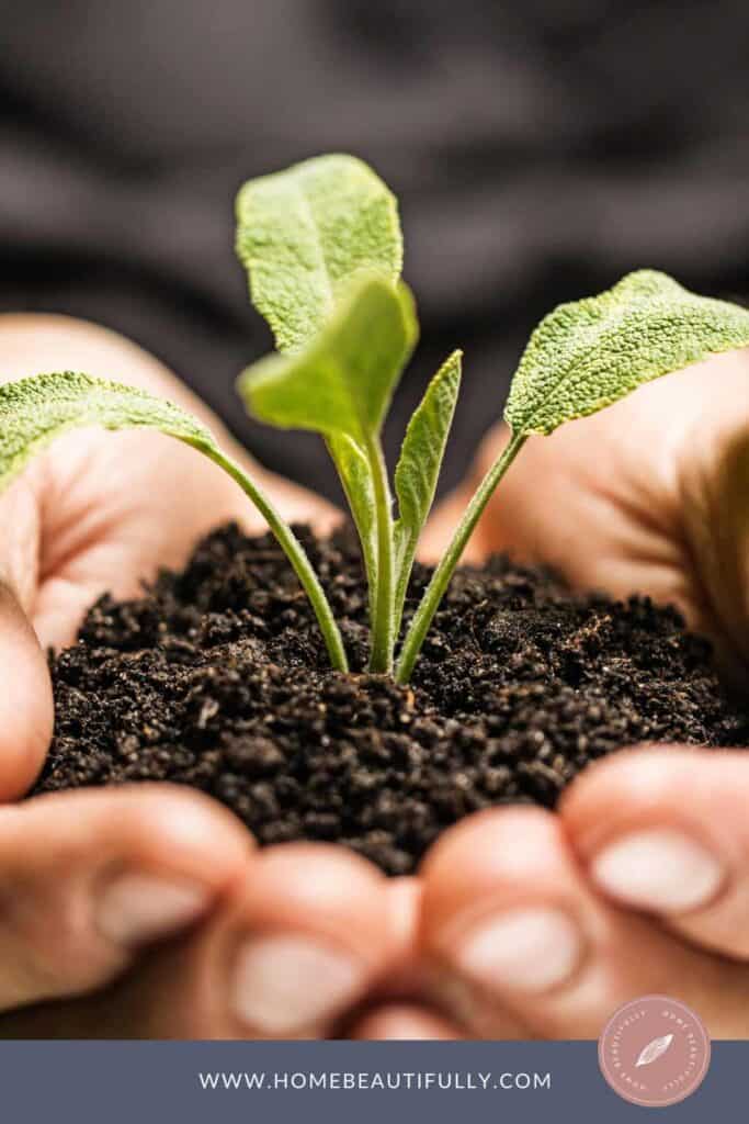 How to Reduce Humidity in a Grow Tent in 3 Easy Steps