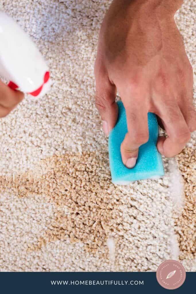 How to Clean Berber Carpet with Bleach Stain Removal Tips
