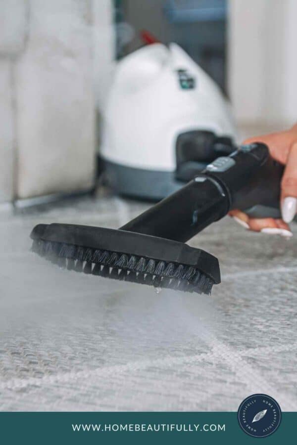 How to Clean Carpet with a Handheld Steamer [Easy DIY Guide]