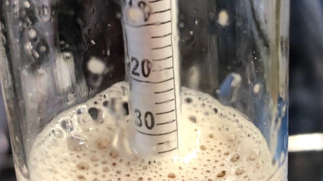 Making Multiple Yeast Starters in a Pressure Canner Homebrew Notes