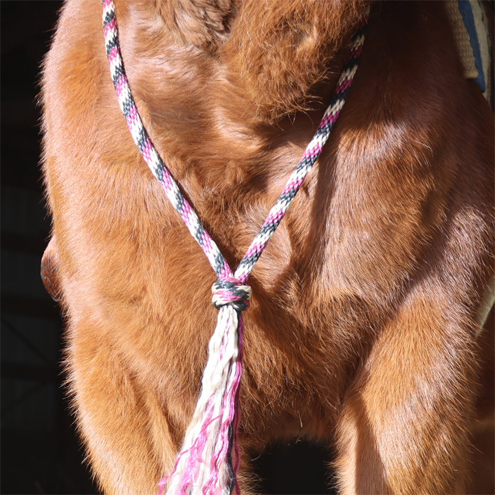 How to make a Neck Rope for Bridleless Riding or Training your Horse