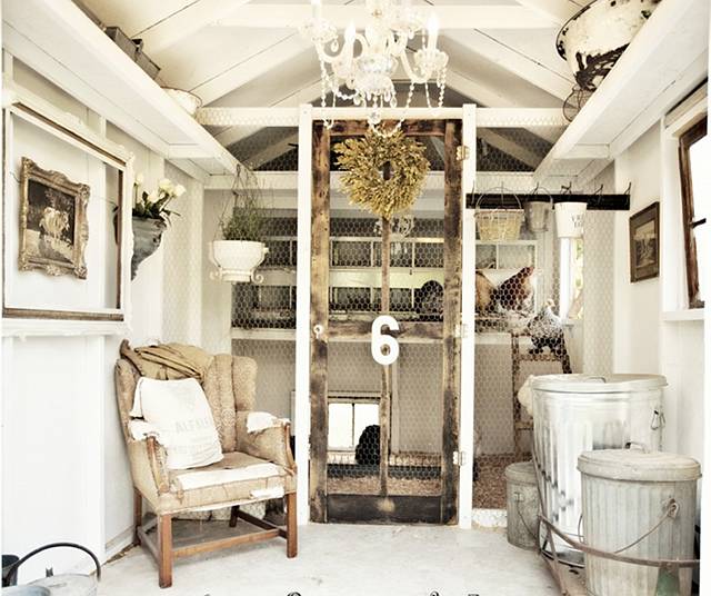 Cool or Fool Chic Chicken Home Bunch Interior Design Ideas