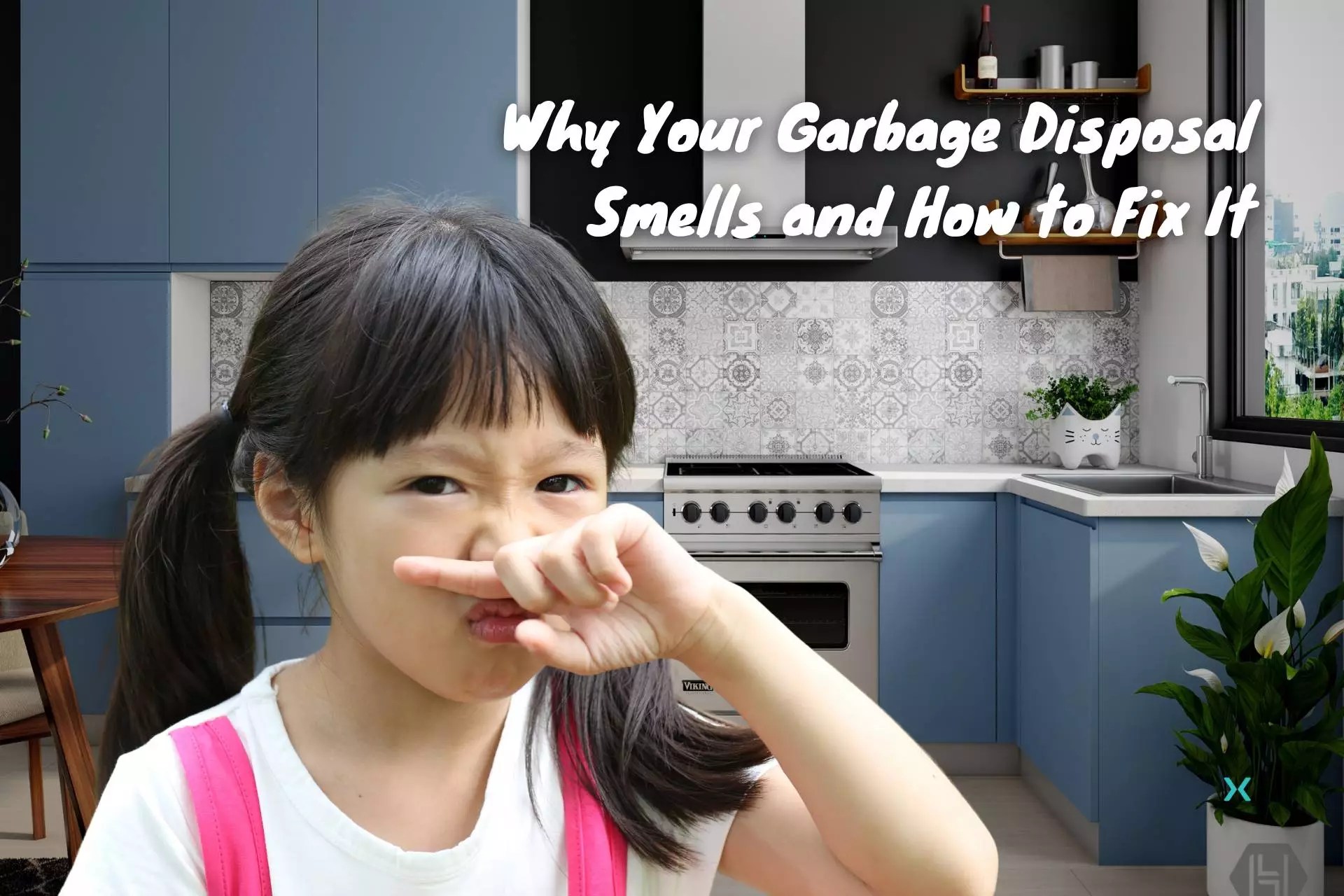 Why Your Garbage Disposal Smells and How to Fix It Homebuyer Weekly