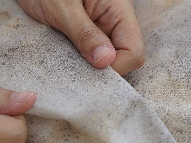 How To Get Mildew Stains Out Of Colored Clothes 6 Easy Ways