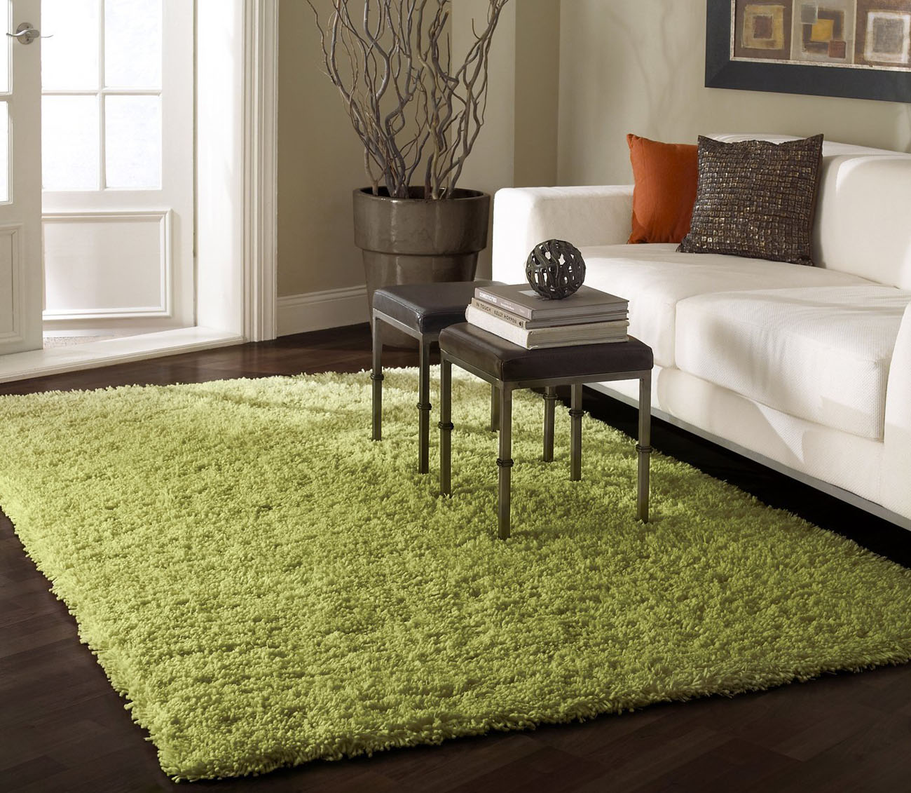 Shag Area Rugs Home Decorator Shop