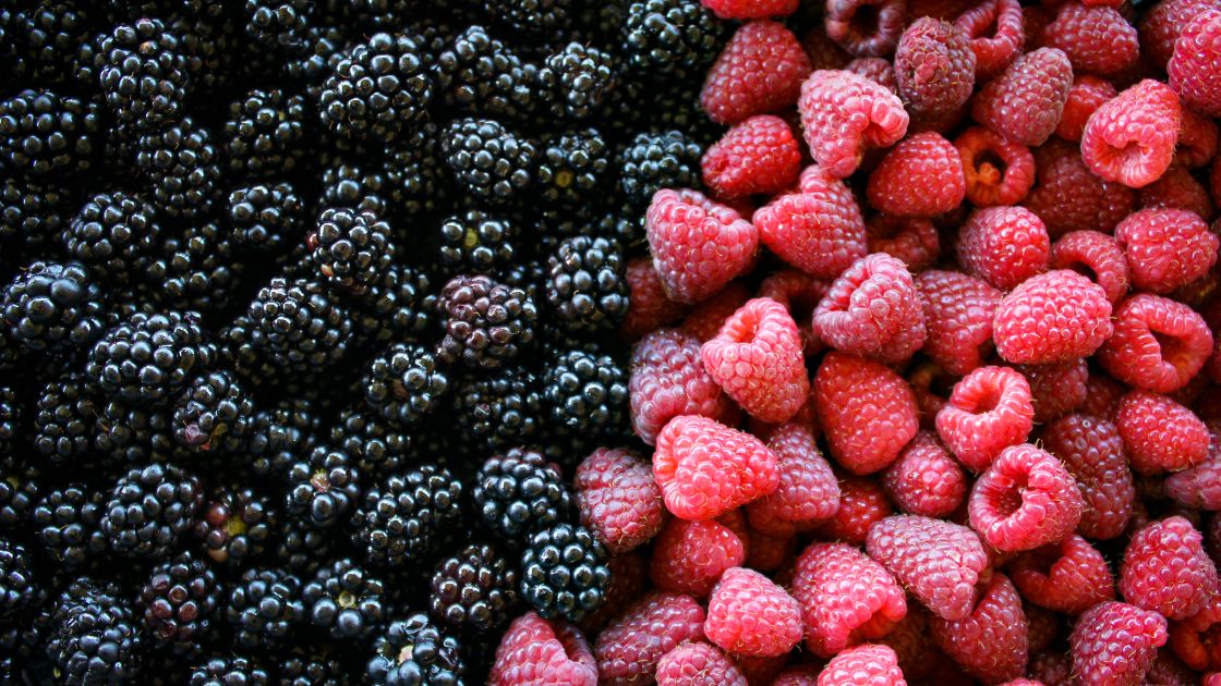 Raspberry Companions The Best Plants for a Fruitful Harvest Home