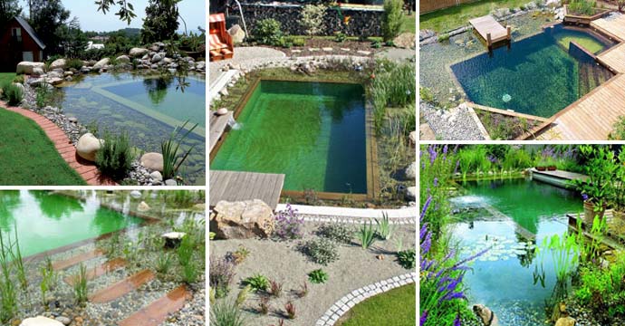 According to gartenart, a pond requires less maintenance than a pool. Natural Swimming Pool Ideas How To Tips And Pictures