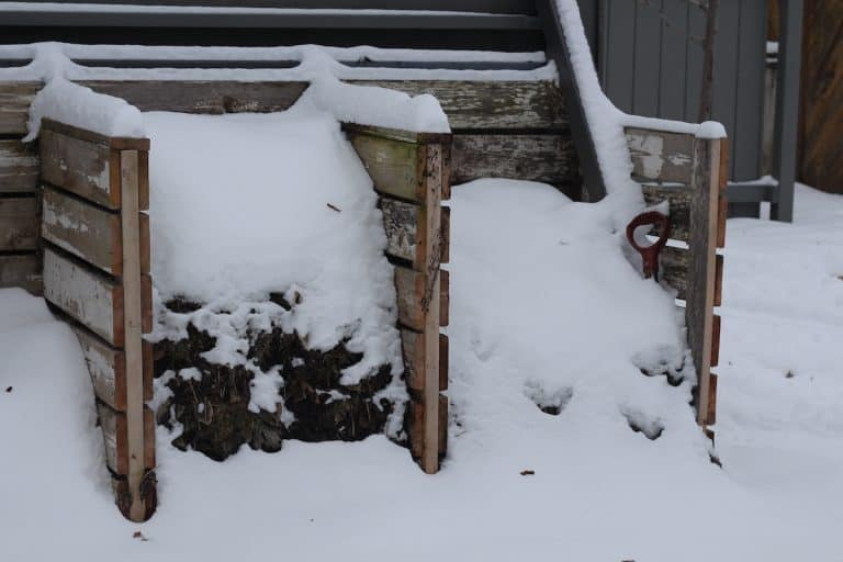 Winter composting guide ️ 🌱 Discover the secrets to offseason success