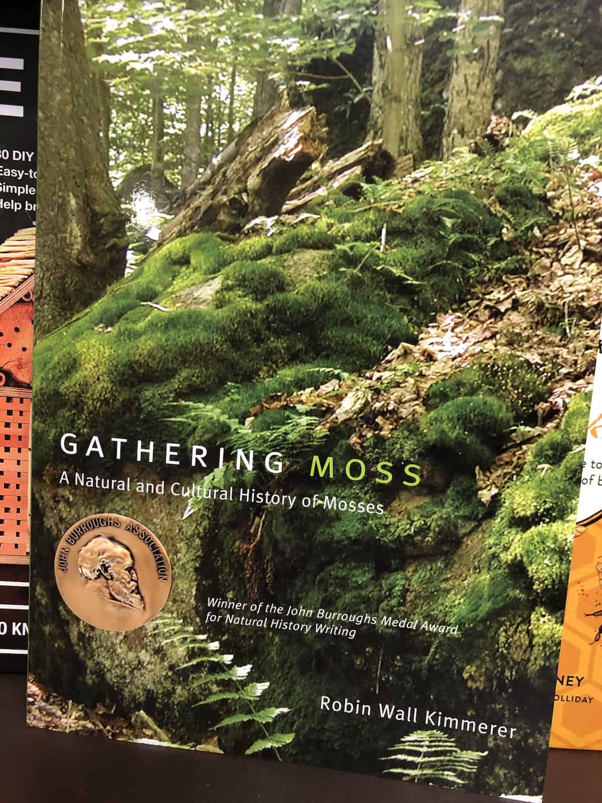 Where to buy live moss 🛍️ 🌱 Source the best varieties for your projects