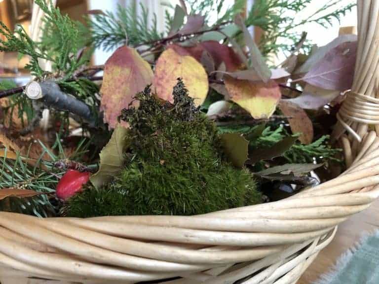 Where to find moss for a magical garden look 🌿 Uncover the best places