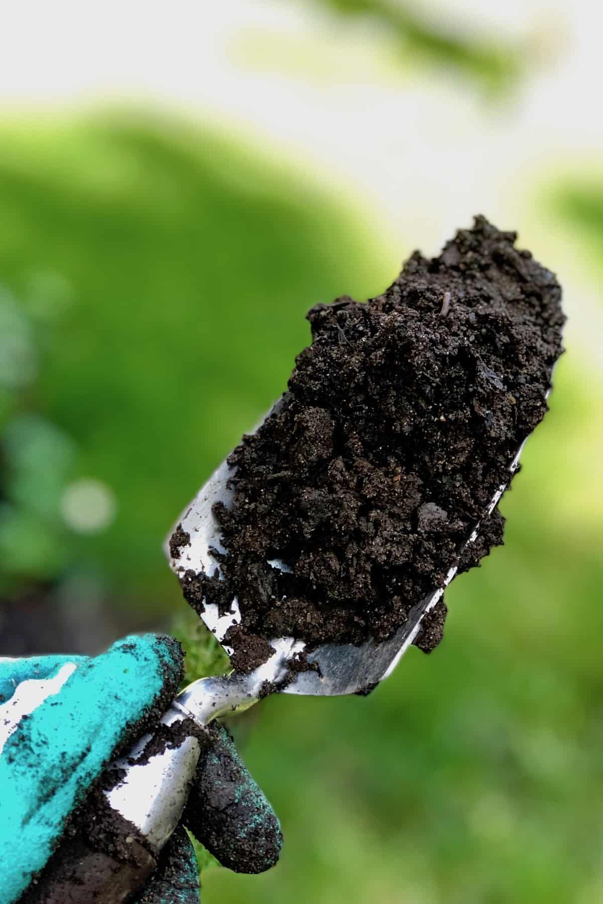 Garden soil testing guide Discover how to optimize your plan