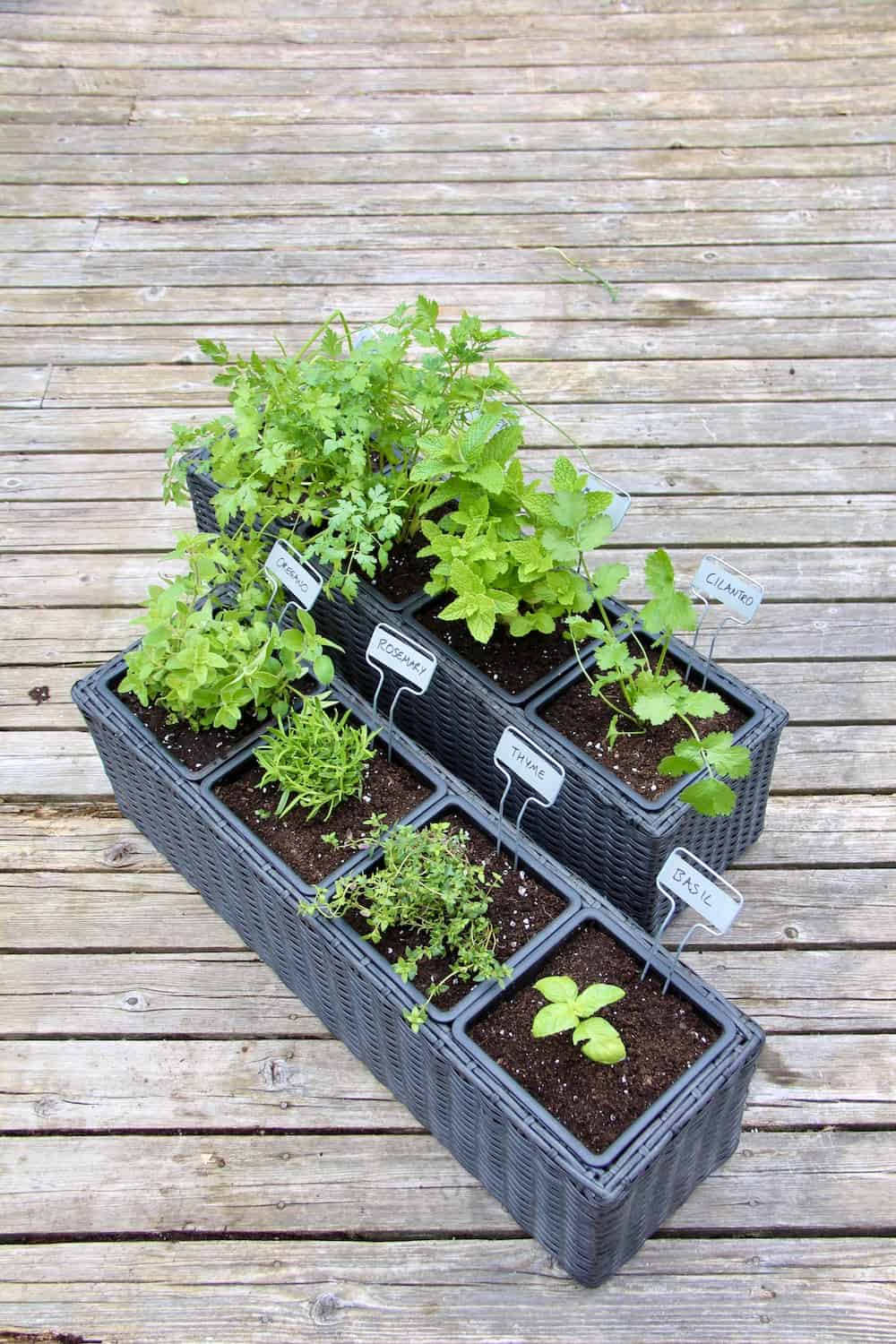 14 herb planter options 🌿 🌱 Ideas to grow your favorite herbs efficiently