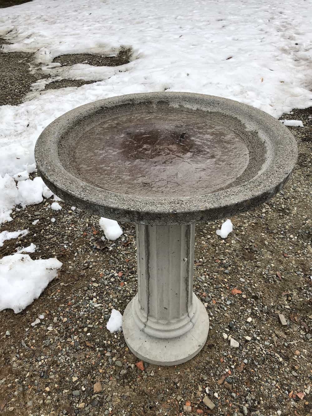 Concrete bird baths 🐦 🌿 Create a harmonious backyard sanctuary