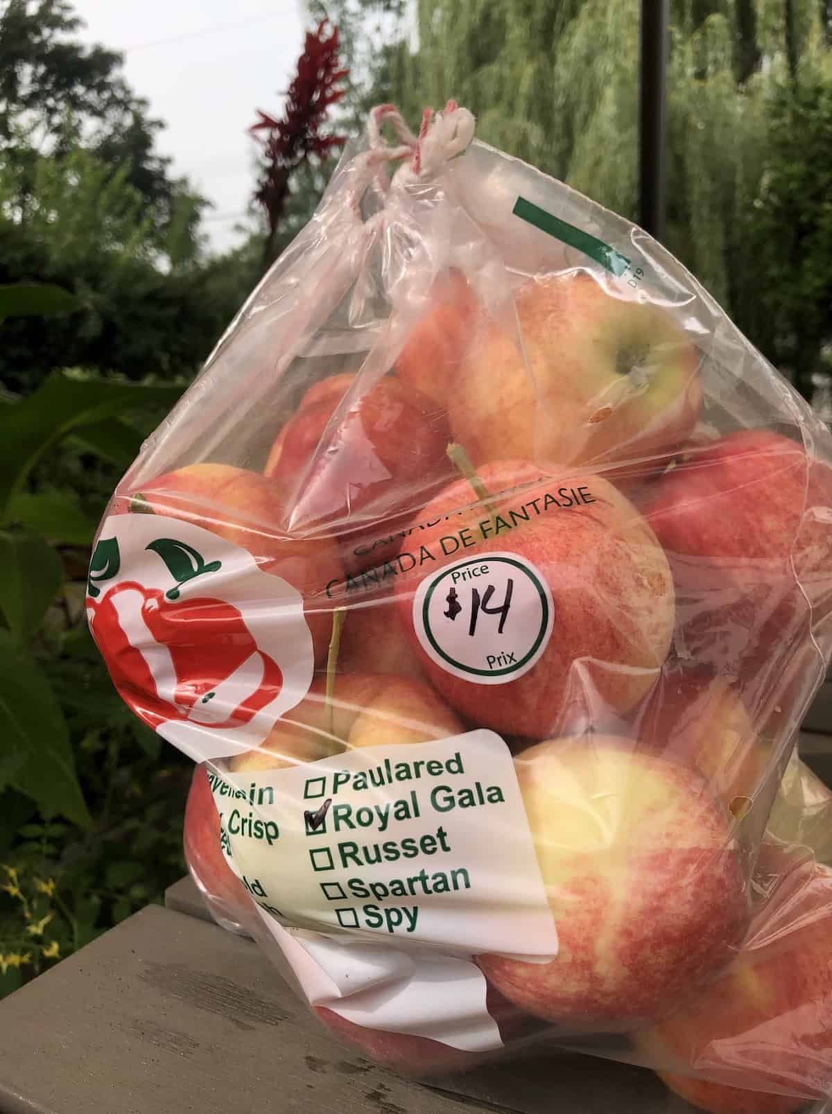 Gala apples 🍎 🌟 Discover the crunch and sweetness of this popular variety