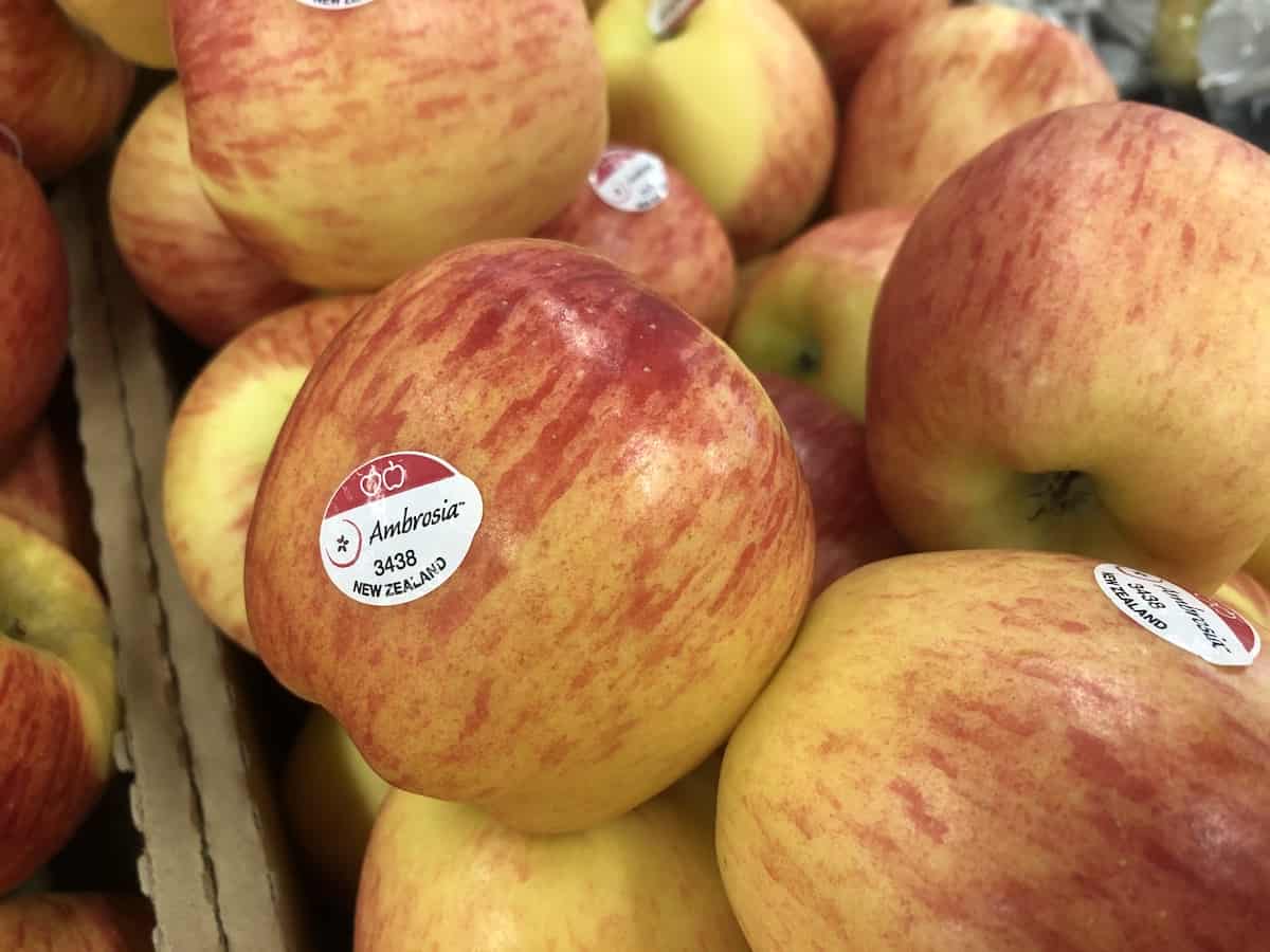 Ambrosia Apples A Heavenly Sweet & Juicy Variety