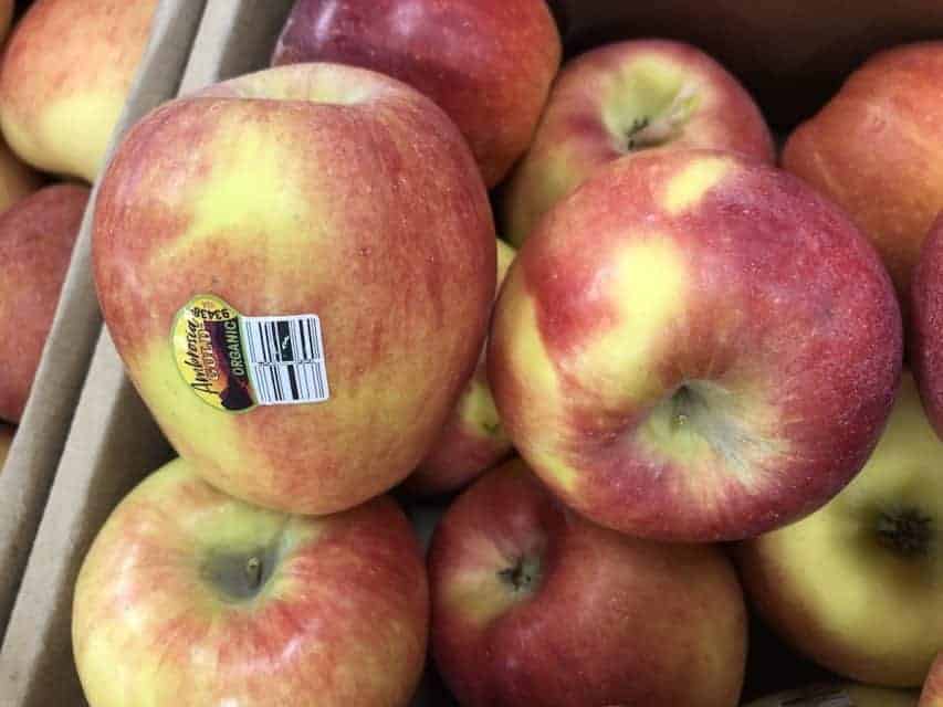 Ambrosia Apples A Heavenly Sweet & Juicy Variety