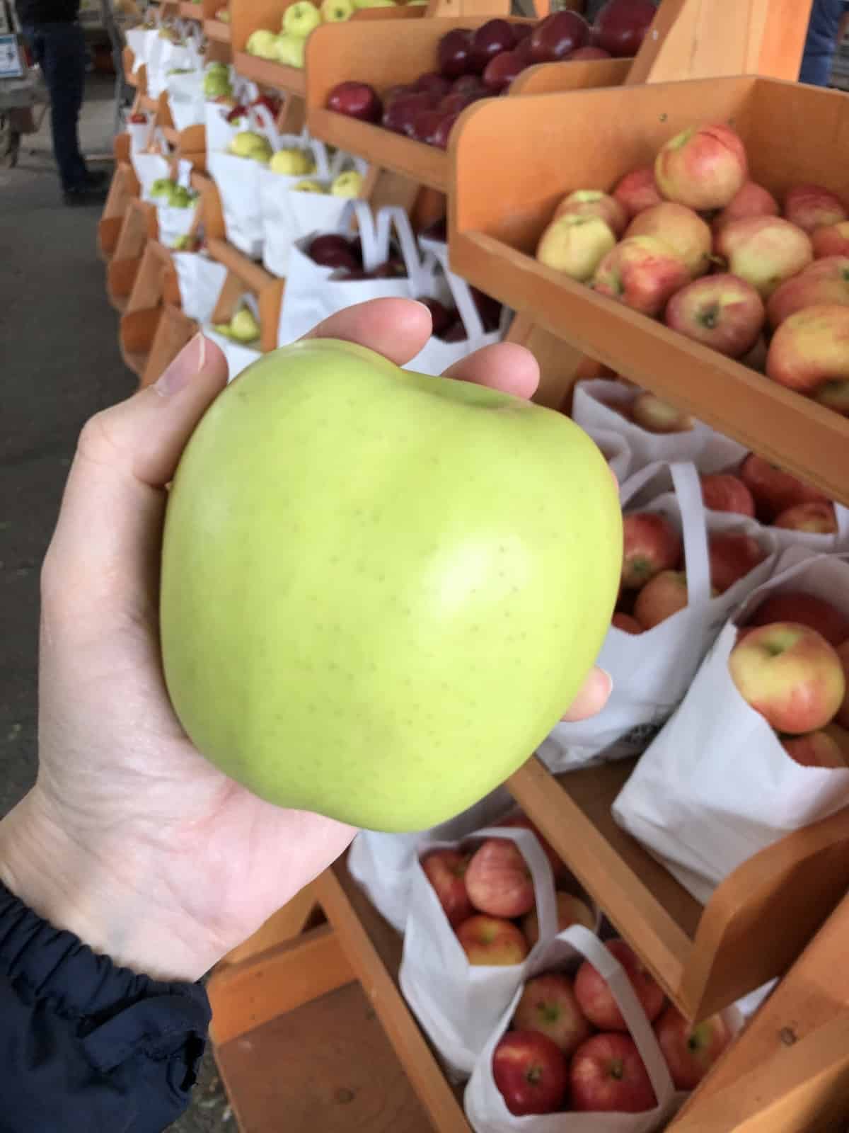 Les pommes les plus sucrées 40 variétés de pommes sucrées à manger