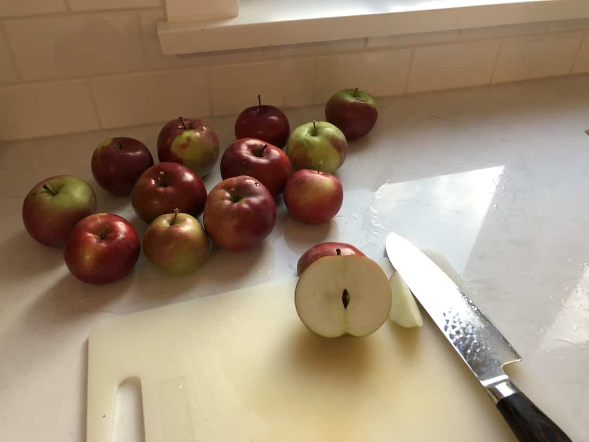 McIntosh apples 🍎 🌳 Unveil the secrets of this popular variety