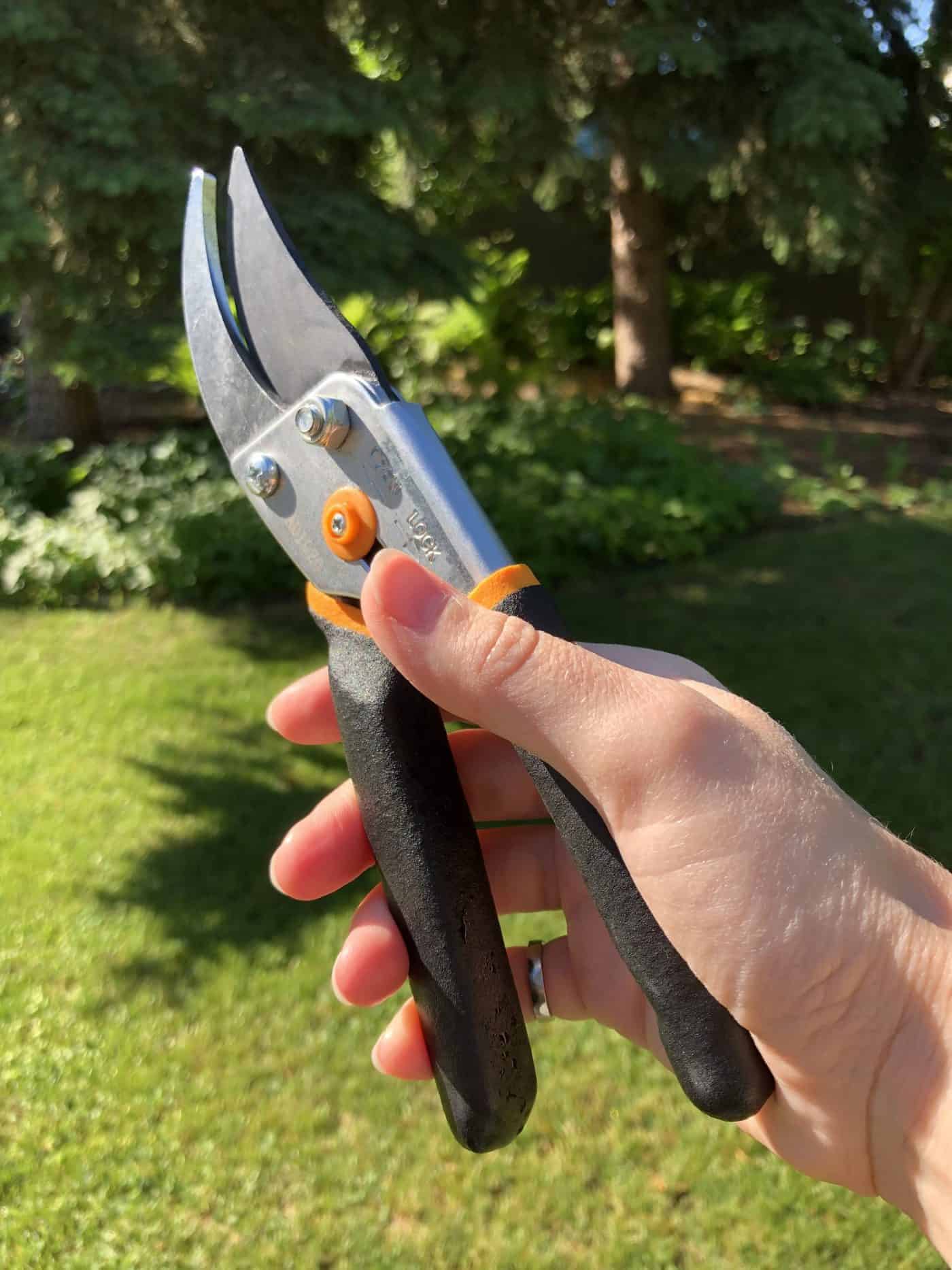 Fiskars Pruners Review of Excellent Everyday Handheld Pruning Shears