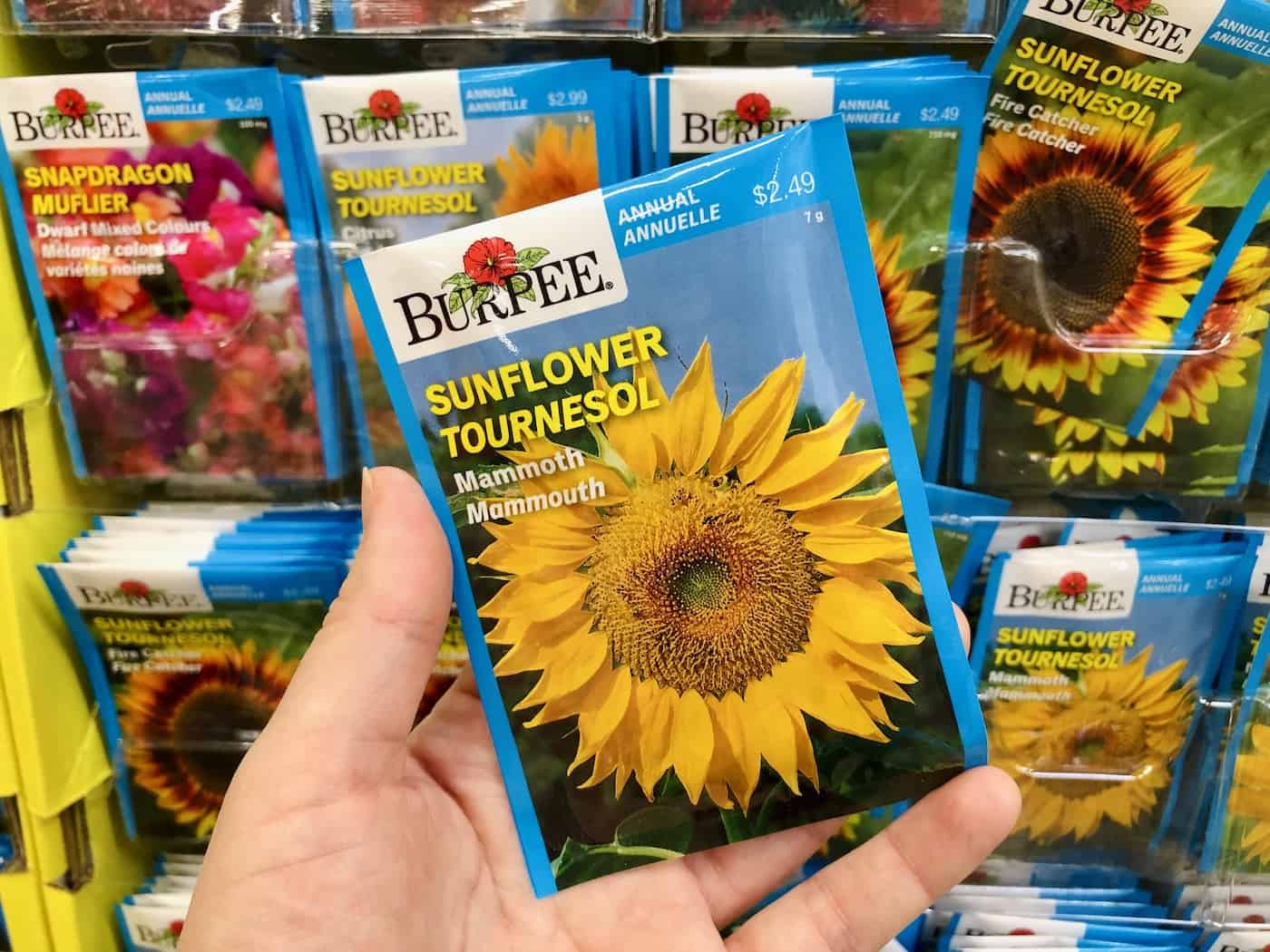 20 top seed companies for home gardeners 🌿 📦 Nurture your garden from a