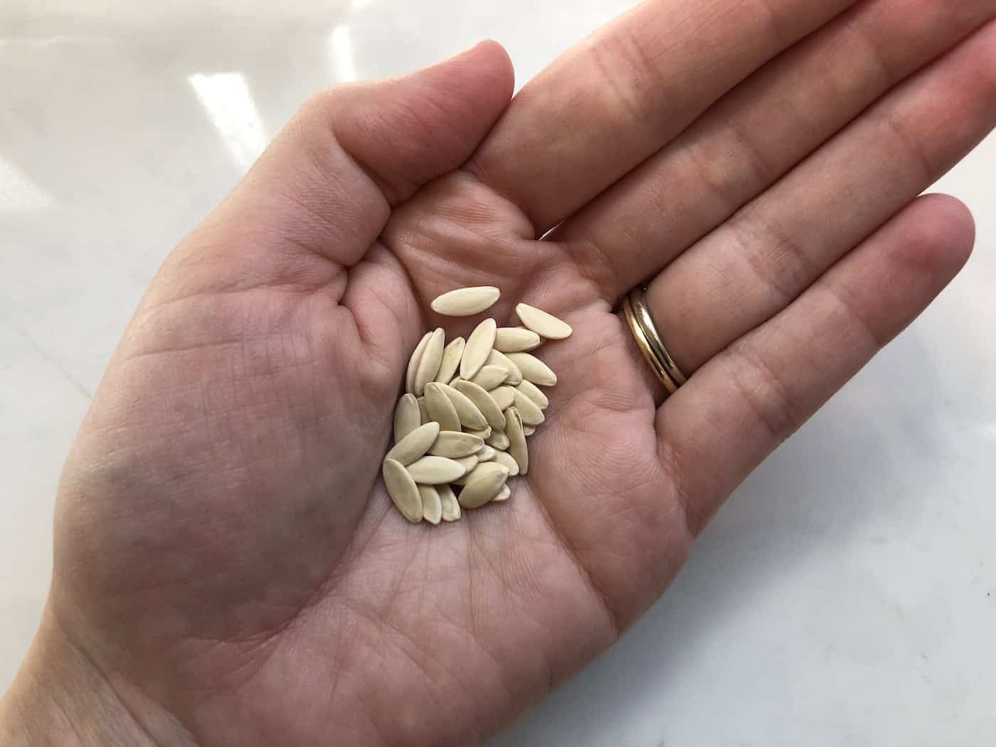 How to save cucumber seeds 勒 From fresh crunch to future crops