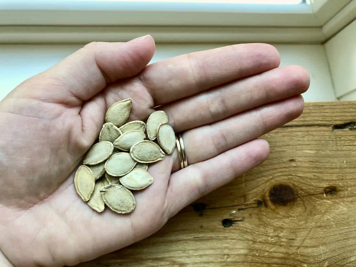 How to save squash seeds 🍁 🌱 A gardener's guide to preserving nature's