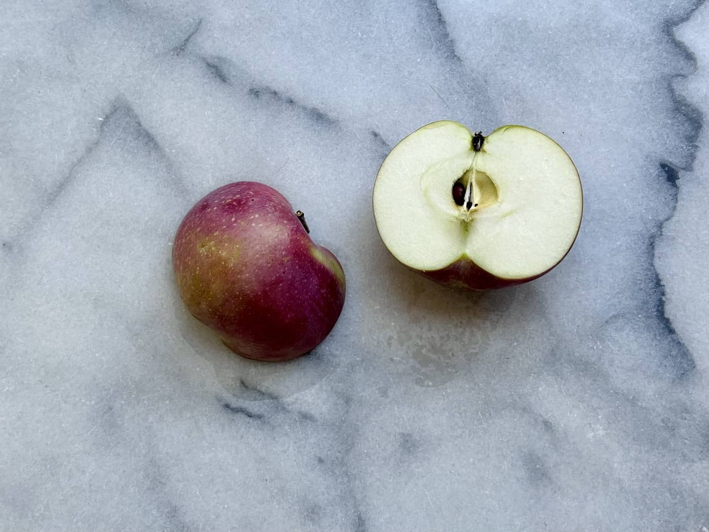 McIntosh apples 🍎 🌳 Unveil the secrets of this popular variety