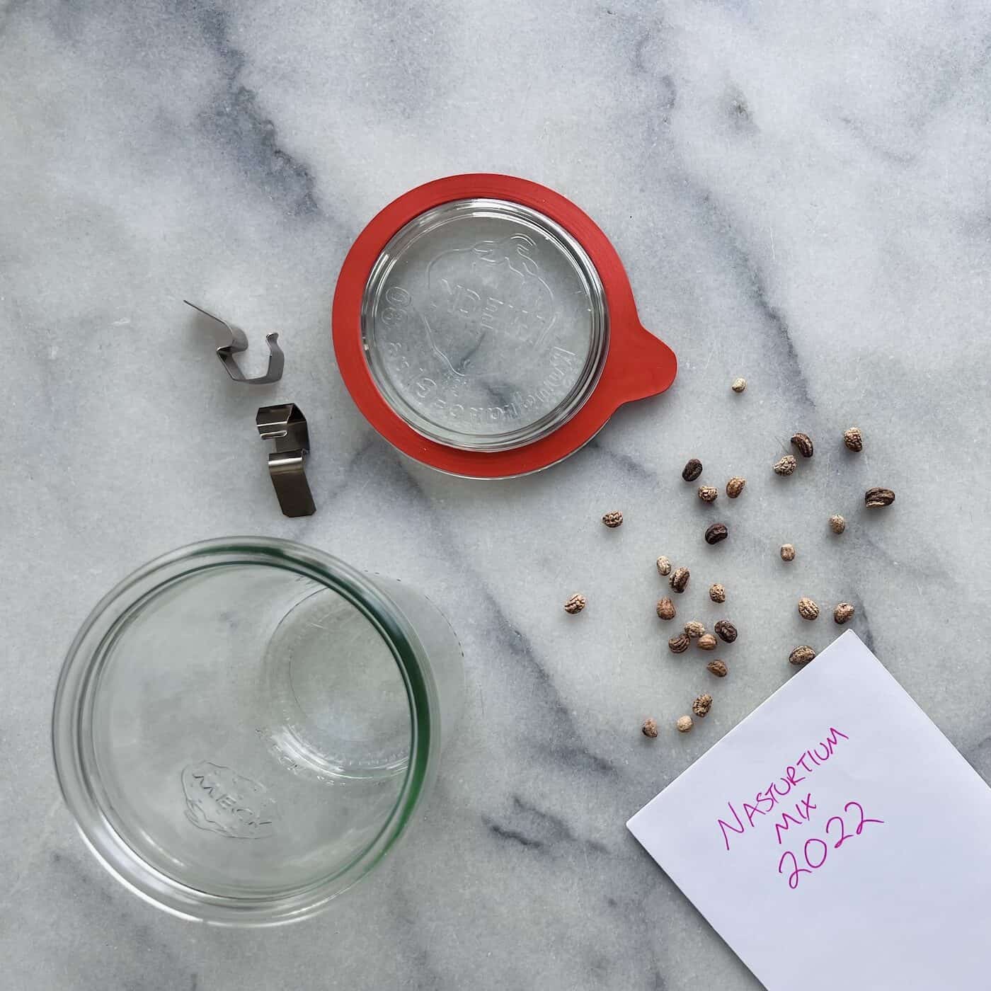 How to store seeds 🌾 🌿 Essential tips for longlasting viability