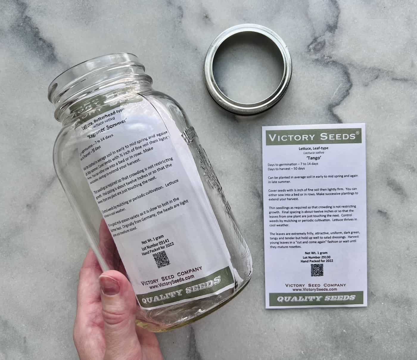 How to store seeds 🌾 🌿 Essential tips for longlasting viability