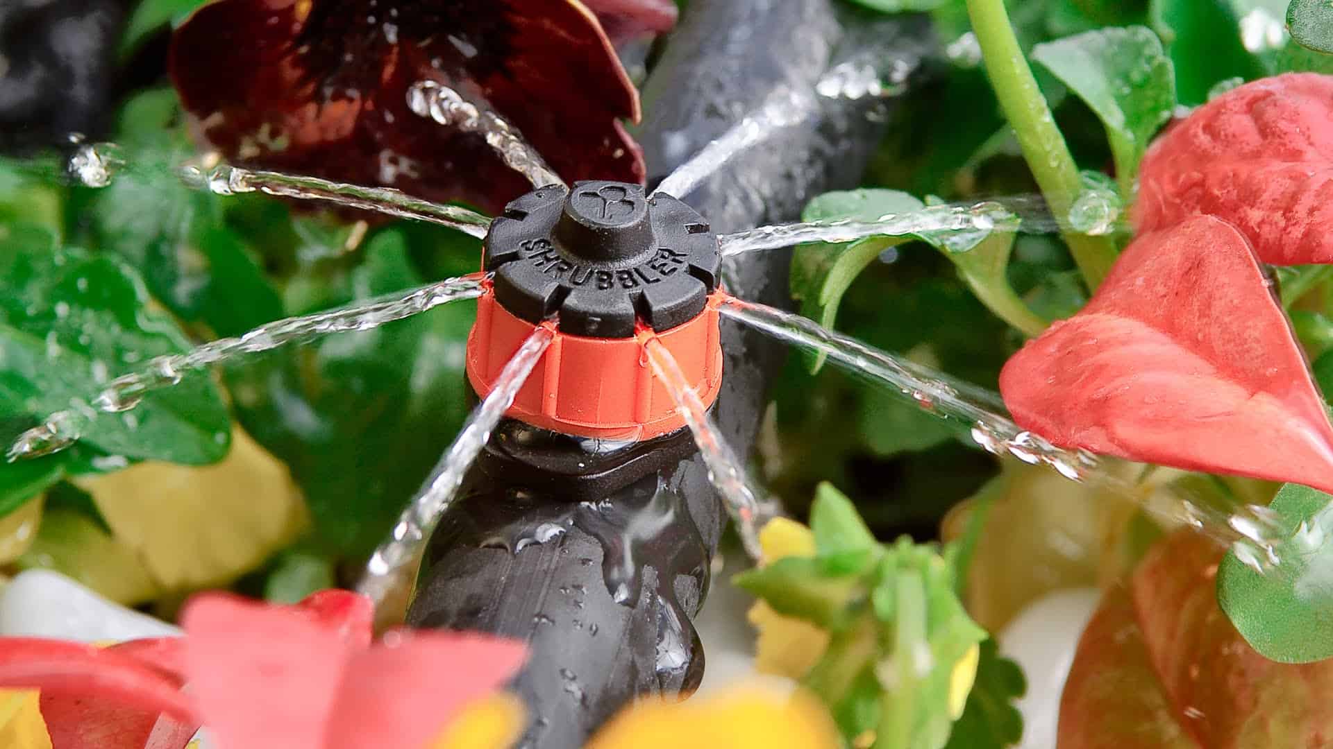 Various Types Of Drip Irrigation Home & Garden Solutions
