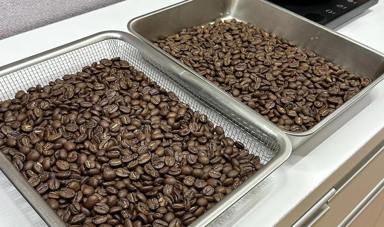 Behmor Coffee Roaster Review (+Get to Know The New 2000AB)