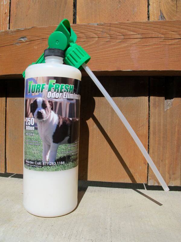 Artificial Grass is a Dog’s (and Our) Best Friend HomeJelly