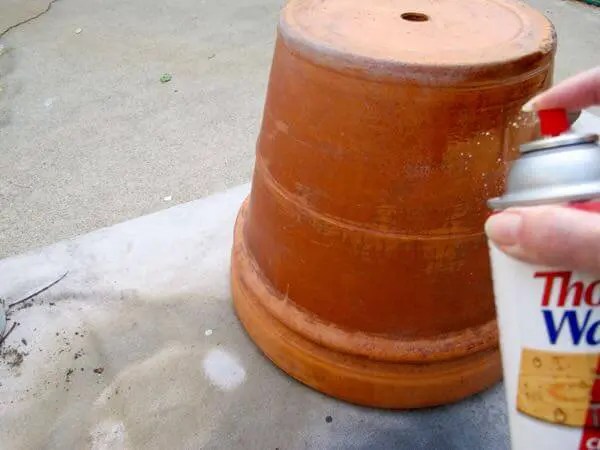 Personalized Painted Pot for the Hip(sters) HomeJelly