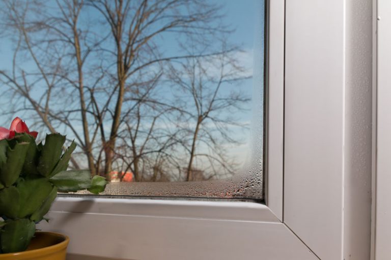 Condensation On Outside Of Windows In Summer Home Logic