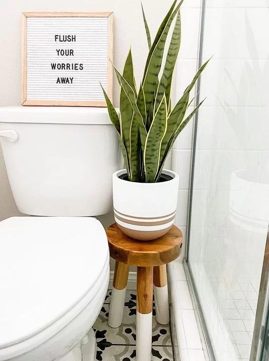 HomelySmart 17 Brilliant Ways On How To Put Plants In